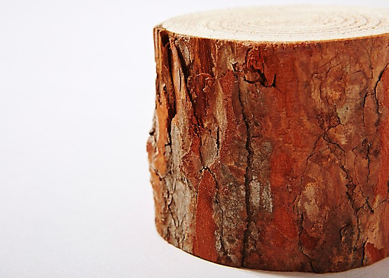 포토 JPG 스튜디오촬영 나무 백그라운드 무늬 패턴 표면 실내 근접촬영 사람없음 목재 질감 나무토막 나이테 토막 국내포토 식물 뷰포인트 재료 내부 파일형식