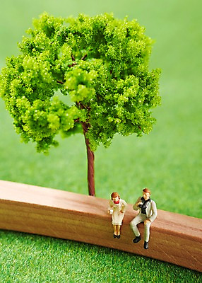 포토 JPG 스튜디오촬영 나무 식물 인형 백그라운드 휴식 실내 근접촬영 잔디 사람없음 아웃포커스 장난감 미니어처 피규어 풀 국내포토 뷰포인트 컨셉 촬영기법 내부 모형 파일형식