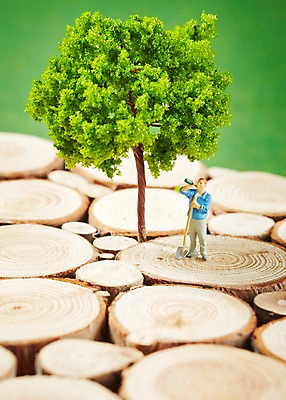 포토 JPG 스튜디오촬영 나무 식물 인형 백그라운드 실내 근접촬영 잔디 사람없음 아웃포커스 장난감 미니어처 피규어 풀 병 삽 나무토막 국내포토 식기 뷰포인트 촬영기법 내부 모형 파일형식