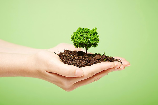 포토 JPG 스튜디오촬영 나무 식물 손 백그라운드 실내 한명 들기 근접촬영 신체부위 흙 양손 국내포토 1 뷰포인트 모션 사람 내부 파일형식