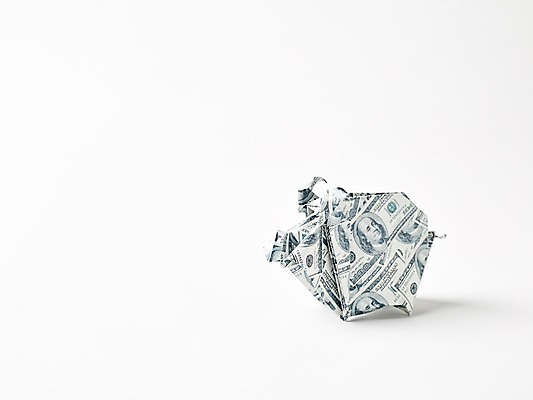 포토 JPG 스튜디오촬영 모양 종이 백그라운드 컨셉 지폐 돈 실내 누끼 사람없음 금융 경제 달러 돼지 페이퍼아트 종이공예 종이접기 국내포토 포유류 내부 재산 공예 접기 파일형식