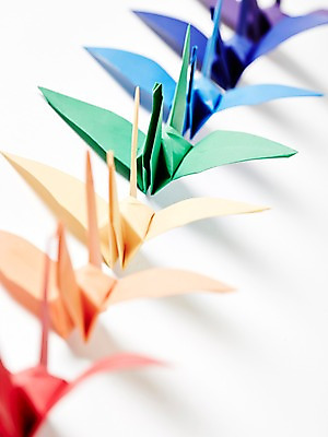 포토 JPG 스튜디오촬영 모양 종이 백그라운드 컨셉 실내 종류 누끼 근접촬영 사람없음 아웃포커스 컬러풀 페이퍼아트 종이공예 종이접기 종이학 국내포토 뷰포인트 컬러 촬영기법 내부 공예 접기 파일형식