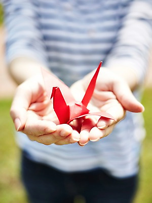 포토 JPG 주간 모양 손 종이 배경화면 백그라운드 컨셉 한명 들기 근접촬영 상반신 야외 아웃포커스 신체부위 양손 페이퍼아트 종이공예 종이접기 종이학 국내포토 자연요소 1 뷰포인트 모션 촬영기법 사람 공예 접기 파일형식