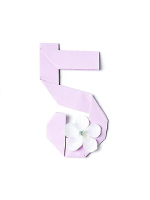 포토 JPG 스튜디오촬영 모양 식물 꽃 종이 백그라운드 컨셉 실내 누끼 사람없음 아웃포커스 숫자 페이퍼아트 오 종이공예 종이접기 5 국내포토 문자 촬영기법 내부 공예 접기 파일형식