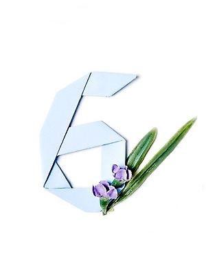 포토 JPG 스튜디오촬영 모양 식물 꽃 종이 백그라운드 컨셉 잎 나뭇잎 실내 누끼 사람없음 아웃포커스 숫자 페이퍼아트 6 종이공예 종이접기 국내포토 문자 촬영기법 내부 공예 접기 파일형식