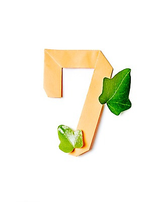 포토 JPG 스튜디오촬영 모양 식물 종이 백그라운드 컨셉 잎 나뭇잎 실내 누끼 사람없음 아웃포커스 숫자 칠 페이퍼아트 종이공예 종이접기 7 국내포토 문자 촬영기법 내부 공예 접기 파일형식