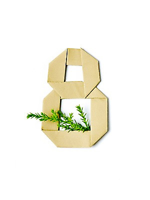 포토 JPG 스튜디오촬영 모양 식물 종이 백그라운드 컨셉 잎 나뭇잎 실내 누끼 사람없음 아웃포커스 숫자 페이퍼아트 8 종이공예 종이접기 팔 국내포토 문자 촬영기법 내부 신체부위 공예 접기 파일형식