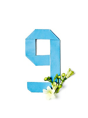 포토 JPG 스튜디오촬영 모양 식물 꽃 종이 백그라운드 컨셉 실내 누끼 사람없음 아웃포커스 숫자 구 9 페이퍼아트 종이공예 종이접기 국내포토 문자 촬영기법 내부 공예 접기 파일형식