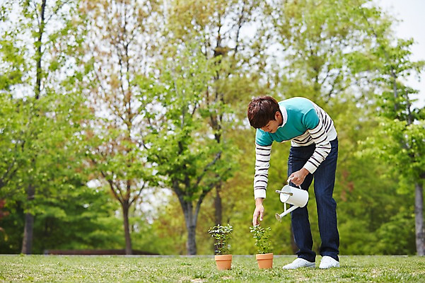 포토 JPG 주간 전신 나무 식물 학생 공원 남자 화분 남학생 대학생 숙이기 한명 서기 들기 사람 20대 성인 야외 옆모습 아웃포커스 캐주얼 캠퍼스라이프 물뿌리개 한국인 물주기 원예 성인남자한명만 국내포토 자연요소 1 라이프스타일 옷 공공시설 뷰포인트 포즈 모션 촬영기법 동양인 청년 취미 남자한명만 성인남자만 파일형식