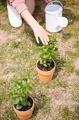 포토 JPG 주간 식물 손 공원 여자 화분 한명 사람 야외 신체부위 물뿌리개 물주기 원예 국내포토 자연요소 1 공공시설 모션 취미 파일형식