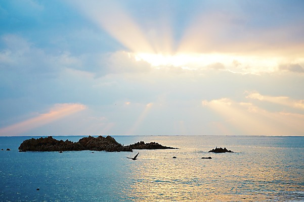 포토 JPG 주간 동물 구름 계절 아시아 바다 섬 자연 갈매기 조류 하늘 한국 풍경 사람없음 야외 관광지 햇빛 가을풍경 가을 돌_바위 바위 경주 무덤 경상북도 경상도 문무대왕릉 문무왕릉 수중릉 빛무리 국내포토 자연요소 나라 여행 빛 태양 생태계 왕릉 파일형식 가을_계절