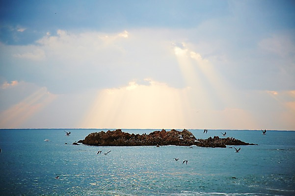 포토 JPG 주간 동물 구름 계절 아시아 바다 섬 자연 갈매기 조류 하늘 한국 풍경 사람없음 야외 관광지 햇빛 가을풍경 가을 돌_바위 바위 경주 무덤 경상북도 경상도 문무대왕릉 문무왕릉 수중릉 빛무리 국내포토 자연요소 나라 여행 빛 태양 생태계 왕릉 파일형식 가을_계절
