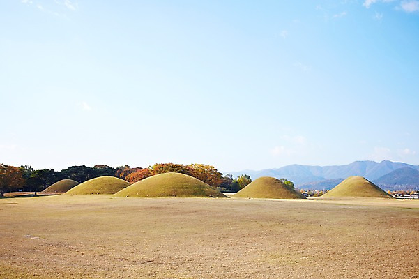 포토 JPG 주간 한국문화 한국전통 전통 계절 아시아 전통문화 문화 자연 한국 풍경 사람없음 야외 관광지 가을풍경 가을 경주 무덤 경상북도 경상도 오릉 국내포토 자연요소 동양문화 나라 여행 생태계 파일형식 가을_계절