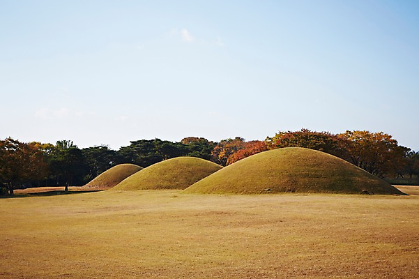 포토 JPG 주간 한국문화 한국전통 전통 계절 아시아 전통문화 문화 자연 한국 풍경 사람없음 야외 관광지 가을풍경 가을 경주 무덤 경상북도 경상도 오릉 국내포토 자연요소 동양문화 나라 여행 생태계 파일형식 가을_계절
