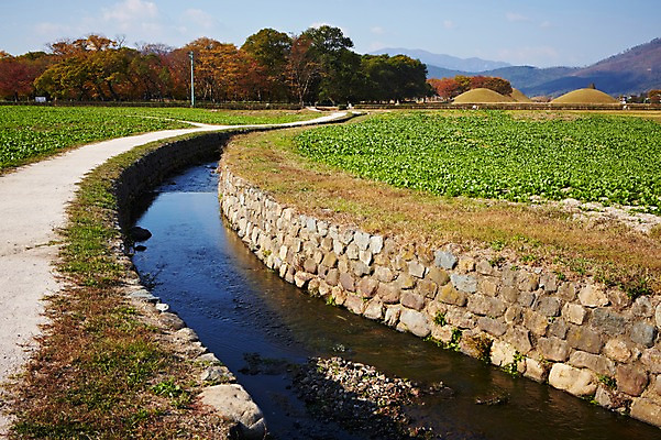 포토 JPG 주간 한국문화 한국전통 전통 계절 아시아 전통문화 문화 자연 한국 풍경 사람없음 야외 관광지 가을풍경 가을 경주 개울 경상북도 경상도 도랑 오릉 국내포토 자연요소 동양문화 나라 여행 밭 강 생태계 파일형식 가을_계절