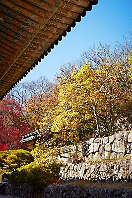포토 JPG 주간 나무 식물 한국문화 한국전통 전통 건축물 계절 아시아 전통문화 문화 단풍 고건축 유적 한국건축 유적지 자연 단풍나무 한국 돌담 풍경 사람없음 야외 관광지 담장 가을풍경 동양건축 문화재 가을 경주 사찰 경상북도 경상도 불국사 국내포토 자연요소 동양문화 건축 나라 여행 잎 종교건축 돌_바위 생태계 랜드마크 파일형식 동양 가을_계절