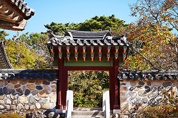 포토 JPG 주간 나무 식물 한국문화 한국전통 전통 건축물 계절 아시아 전통문화 문화 단풍 고건축 유적 한국건축 유적지 자연 단풍나무 한국 풍경 사람없음 야외 관광지 담장 문 가을풍경 동양건축 문화재 가을 경주 사찰 경상북도 경상도 불국사 국내포토 자연요소 동양문화 건축 나라 여행 잎 종교건축 생태계 랜드마크 파일형식 동양