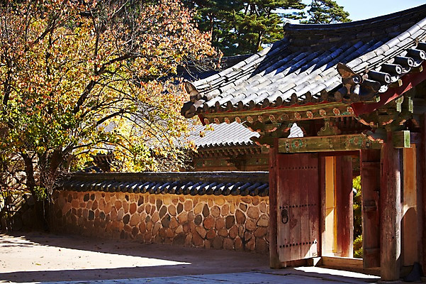 포토 JPG 주간 나무 식물 한국문화 한국전통 전통 건축물 계절 아시아 전통문화 문화 단풍 고건축 유적 한국건축 유적지 자연 단풍나무 한국 풍경 사람없음 야외 관광지 담장 문 가을풍경 동양건축 문화재 가을 경주 사찰 경상북도 경상도 불국사 국내포토 자연요소 동양문화 건축 나라 여행 잎 종교건축 생태계 랜드마크 파일형식 동양 가을_계절