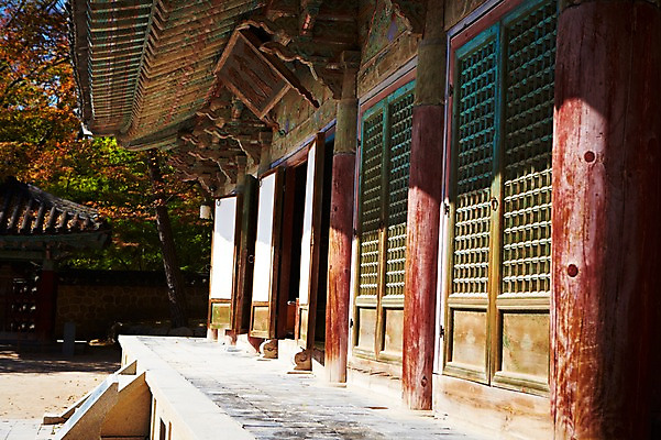포토 JPG 주간 나무 식물 한국문화 한국전통 전통 건축물 계절 아시아 전통문화 문화 단풍 고건축 유적 한국건축 유적지 자연 단풍나무 한국 풍경 사람없음 야외 관광지 가을풍경 동양건축 문화재 가을 경주 사찰 경상북도 경상도 불국사 국내포토 자연요소 동양문화 건축 나라 여행 잎 종교건축 생태계 랜드마크 파일형식 동양 가을_계절