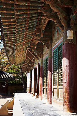 포토 JPG 주간 나무 식물 한국문화 한국전통 전통 건축물 계절 아시아 전통문화 문화 단풍 고건축 유적 한국건축 유적지 자연 단풍나무 한국 풍경 사람없음 야외 관광지 가을풍경 동양건축 문화재 가을 경주 사찰 경상북도 경상도 불국사 국내포토 자연요소 동양문화 건축 나라 여행 잎 종교건축 생태계 랜드마크 파일형식 동양 가을_계절