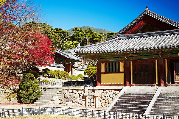 포토 JPG 주간 나무 식물 한국문화 한국전통 전통 건축물 계절 아시아 전통문화 문화 단풍 고건축 유적 한국건축 유적지 자연 단풍나무 한국 풍경 사람없음 야외 관광지 가을풍경 동양건축 문화재 가을 경주 사찰 경상북도 경상도 불국사 국내포토 자연요소 동양문화 건축 나라 여행 잎 종교건축 생태계 랜드마크 파일형식 동양 가을_계절