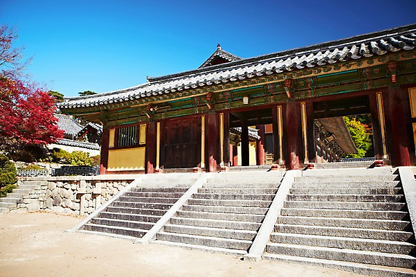 포토 JPG 주간 나무 식물 한국문화 한국전통 전통 건축물 계절 아시아 전통문화 문화 단풍 고건축 유적 한국건축 유적지 자연 단풍나무 한국 풍경 사람없음 야외 관광지 문 계단 가을풍경 동양건축 문화재 가을 경주 사찰 경상북도 경상도 불국사 국내포토 자연요소 동양문화 건축 나라 여행 잎 종교건축 생태계 랜드마크 파일형식 동양 가을_계절