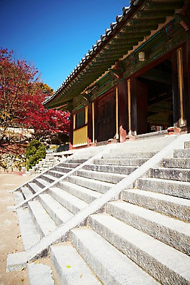 포토 JPG 주간 나무 식물 한국문화 한국전통 전통 건축물 계절 아시아 전통문화 문화 단풍 고건축 유적 한국건축 유적지 자연 단풍나무 한국 풍경 사람없음 야외 관광지 문 계단 가을풍경 동양건축 문화재 가을 경주 사찰 경상북도 경상도 불국사 국내포토 자연요소 동양문화 건축 나라 여행 잎 종교건축 생태계 랜드마크 파일형식 동양 가을_계절