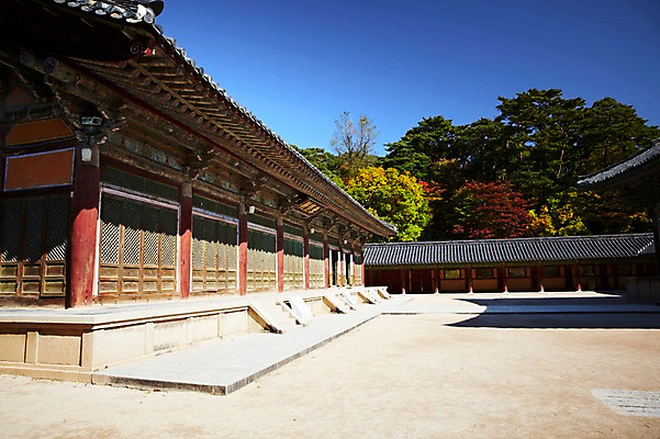 포토 JPG 주간 나무 식물 한국문화 한국전통 전통 건축물 계절 아시아 전통문화 문화 단풍 고건축 유적 한국건축 유적지 자연 단풍나무 한국 풍경 사람없음 야외 관광지 가을풍경 동양건축 문화재 가을 경주 사찰 경상북도 경상도 불국사 국내포토 자연요소 동양문화 건축 나라 여행 잎 종교건축 생태계 랜드마크 파일형식 동양 가을_계절