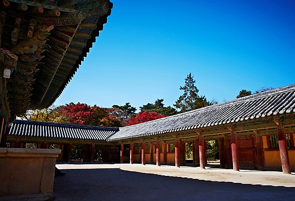 포토 JPG 주간 나무 식물 한국문화 한국전통 전통 건축물 계절 아시아 전통문화 문화 단풍 고건축 유적 한국건축 유적지 자연 단풍나무 한국 풍경 사람없음 야외 관광지 가을풍경 동양건축 문화재 가을 경주 사찰 경상북도 경상도 불국사 국내포토 자연요소 동양문화 건축 나라 여행 잎 종교건축 생태계 랜드마크 파일형식 동양 가을_계절