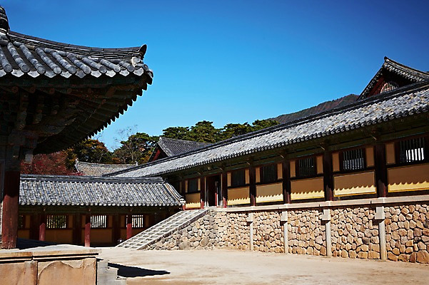 포토 JPG 주간 나무 식물 한국문화 한국전통 전통 건축물 계절 아시아 전통문화 문화 단풍 고건축 유적 한국건축 유적지 자연 단풍나무 한국 풍경 사람없음 야외 관광지 가을풍경 동양건축 문화재 가을 경주 사찰 경상북도 경상도 불국사 국내포토 자연요소 동양문화 건축 나라 여행 잎 종교건축 생태계 랜드마크 파일형식 동양 가을_계절