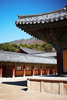 포토 JPG 주간 나무 식물 한국문화 한국전통 전통 건축물 계절 아시아 전통문화 문화 단풍 고건축 유적 한국건축 유적지 자연 단풍나무 한국 풍경 사람없음 야외 관광지 가을풍경 동양건축 문화재 가을 경주 사찰 경상북도 경상도 불국사 국내포토 자연요소 동양문화 건축 나라 여행 잎 종교건축 생태계 랜드마크 파일형식 동양 가을_계절