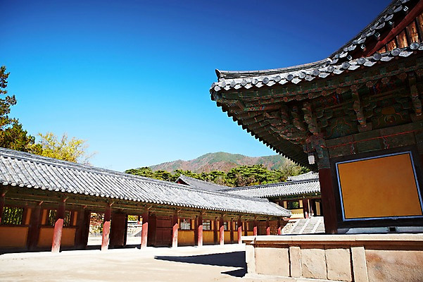 포토 JPG 주간 나무 식물 한국문화 한국전통 전통 건축물 계절 아시아 전통문화 문화 단풍 고건축 유적 한국건축 유적지 자연 단풍나무 한국 풍경 사람없음 야외 관광지 가을풍경 동양건축 문화재 가을 경주 사찰 경상북도 경상도 불국사 국내포토 자연요소 동양문화 건축 나라 여행 잎 종교건축 생태계 랜드마크 파일형식 동양 가을_계절