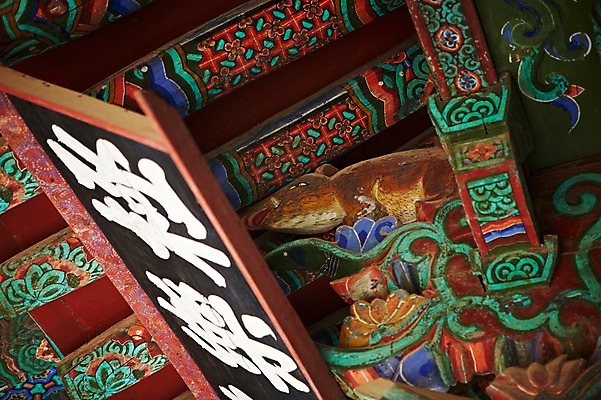 포토 JPG 주간 한국문화 한국전통 전통 건축물 계절 아시아 전통문화 문화 고건축 유적 한국건축 유적지 자연 한국 풍경 사람없음 야외 관광지 가을풍경 동양건축 문화재 가을 경주 사찰 경상북도 경상도 불국사 국내포토 자연요소 동양문화 건축 나라 여행 종교건축 생태계 랜드마크 파일형식 동양 가을_계절