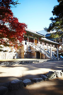 포토 JPG 주간 나무 식물 한국문화 한국전통 전통 건축물 계절 아시아 전통문화 문화 단풍 고건축 유적 한국건축 유적지 자연 단풍나무 한국 풍경 사람없음 야외 관광지 계단 가을풍경 동양건축 문화재 가을 경주 사찰 경상북도 경상도 불국사 국내포토 자연요소 동양문화 건축 나라 여행 잎 종교건축 생태계 랜드마크 파일형식 동양 가을_계절