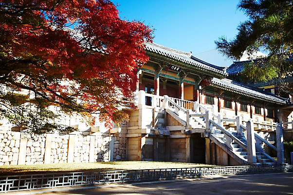 포토 JPG 주간 나무 식물 한국문화 한국전통 전통 건축물 계절 아시아 전통문화 문화 단풍 고건축 유적 한국건축 유적지 자연 단풍나무 한국 풍경 사람없음 야외 관광지 계단 가을풍경 동양건축 문화재 가을 경주 사찰 경상북도 경상도 불국사 국내포토 자연요소 동양문화 건축 나라 여행 잎 종교건축 생태계 랜드마크 파일형식 동양 가을_계절
