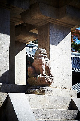 포토 JPG 주간 나무 식물 한국문화 한국전통 전통 건축물 계절 아시아 전통문화 문화 조각 단풍 고건축 유적 한국건축 유적지 자연 단풍나무 한국 풍경 사람없음 야외 관광지 조각상 가을풍경 동양건축 문화재 가을 경주 사찰 경상북도 경상도 불국사 조각_조소 국내포토 자연요소 동양문화 건축 나라 여행 잎 종교건축 조형물 생태계 랜드마크 조소 파일형식 동양 가을_계절