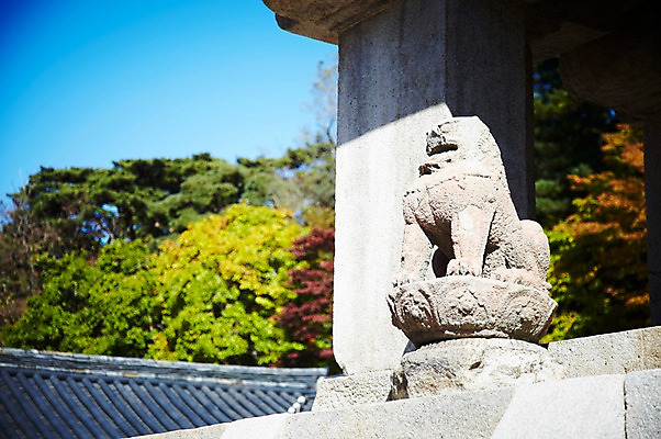 포토 JPG 주간 나무 식물 한국문화 한국전통 전통 건축물 계절 아시아 전통문화 문화 조각 단풍 고건축 유적 한국건축 유적지 자연 단풍나무 한국 풍경 사람없음 야외 관광지 조각상 가을풍경 동양건축 문화재 가을 경주 사찰 경상북도 경상도 불국사 조각_조소 국내포토 자연요소 동양문화 건축 나라 여행 잎 종교건축 조형물 생태계 랜드마크 조소 파일형식 동양 가을_계절