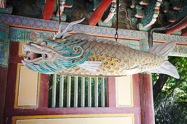 포토 JPG 주간 나무 식물 한국문화 한국전통 전통 건축물 계절 아시아 전통문화 문화 고건축 유적 한국건축 유적지 자연 한국 풍경 사람없음 야외 장식 관광지 가을풍경 동양건축 문화재 가을 경주 사찰 경상북도 경상도 국내포토 자연요소 동양문화 건축 나라 여행 종교건축 생태계 파일형식 동양 가을_계절
