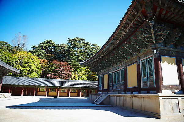 포토 JPG 주간 나무 식물 한국문화 한국전통 전통 건축물 계절 아시아 전통문화 문화 단풍 고건축 유적 한국건축 유적지 자연 단풍나무 한국 풍경 사람없음 야외 관광지 가을풍경 동양건축 문화재 가을 경주 사찰 경상북도 경상도 불국사 국내포토 자연요소 동양문화 건축 나라 여행 잎 종교건축 생태계 랜드마크 파일형식 동양 가을_계절