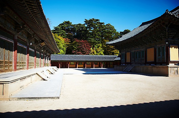 포토 JPG 주간 나무 식물 한국문화 한국전통 전통 건축물 계절 아시아 전통문화 문화 단풍 고건축 유적 한국건축 유적지 자연 단풍나무 한국 풍경 사람없음 야외 관광지 가을풍경 동양건축 문화재 가을 경주 사찰 경상북도 경상도 불국사 국내포토 자연요소 동양문화 건축 나라 여행 잎 종교건축 생태계 랜드마크 파일형식 동양 가을_계절