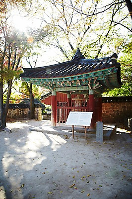 포토 JPG 주간 나무 식물 한국문화 한국전통 전통 건축물 계절 아시아 전통문화 문화 단풍 고건축 유적 한국건축 유적지 자연 단풍나무 한국 알림판 풍경 사람없음 야외 관광지 햇빛 반사 가을풍경 동양건축 문화재 가을 경주 사찰 석탑 경상북도 경상도 사리탑 국내포토 자연요소 동양문화 건축 나라 여행 잎 종교건축 태양 탑 생태계 파일형식 동양 가을_계절