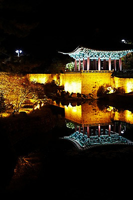 포토 JPG 나무 식물 한국문화 한국전통 전통 건축물 계절 아시아 전통문화 문화 호수 고건축 야경 유적 한국건축 유적지 자연 조명 한국 사람없음 야외 관광지 빛 반사 가을풍경 동양건축 문화재 가을 경주 사찰 경상북도 경상도 안압지 국내포토 동양문화 건축 나라 여행 종교건축 풍경 경주_경상북도 연못 야간 생태계 파일형식 동양 가을_계절 풍경_경치