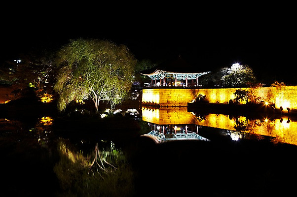 포토 JPG 나무 식물 한국문화 한국전통 전통 건축물 계절 아시아 전통문화 문화 호수 고건축 야경 유적 한국건축 유적지 자연 조명 한국 사람없음 야외 관광지 빛 반사 가을풍경 동양건축 문화재 가을 경주 사찰 경상북도 경상도 안압지 국내포토 동양문화 건축 나라 여행 종교건축 풍경 경주_경상북도 연못 야간 생태계 파일형식 동양 가을_계절 풍경_경치