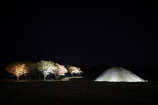 포토 JPG 나무 식물 한국문화 한국전통 전통 계절 아시아 전통문화 문화 야경 유적 유적지 자연 조명 한국 사람없음 야외 관광지 빛 가을풍경 문화재 가을 경주 무덤 사찰 경상북도 경상도 오릉 국내포토 동양문화 나라 여행 고건축 종교건축 풍경 야간 생태계 파일형식 가을_계절 풍경_경치