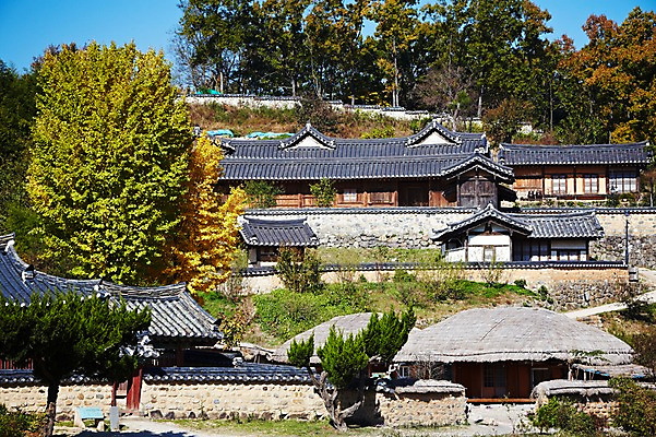 포토 JPG 주간 나무 식물 한국문화 한국전통 전통 건축물 계절 아시아 전통문화 문화 단풍 고건축 한국건축 자연 단풍나무 한국 초가집 기와집 풍경 사람없음 야외 관광지 마을 가을풍경 동양건축 문화재 가을 경주 경상북도 경상도 민속마을 양동마을 국내포토 자연요소 동양문화 건축 나라 여행 잎 한옥 경주_경상북도 생태계 파일형식 동양 가을_계절