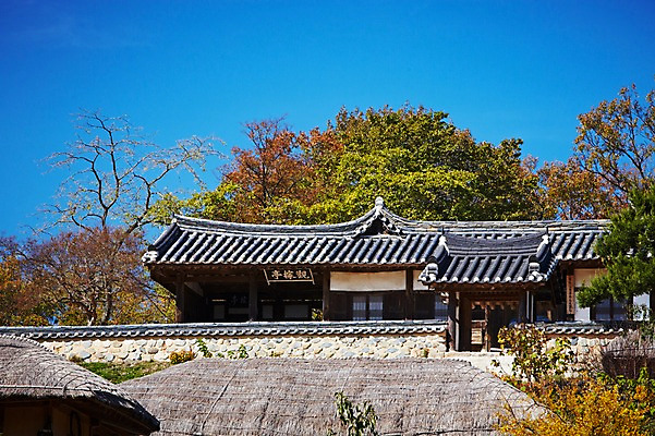 포토 JPG 주간 나무 식물 한국문화 한국전통 전통 건축물 계절 아시아 전통문화 문화 단풍 고건축 한국건축 자연 단풍나무 한국 초가집 기와집 풍경 사람없음 야외 관광지 마을 가을풍경 동양건축 문화재 가을 경주 경상북도 경상도 민속마을 양동마을 국내포토 자연요소 동양문화 건축 나라 여행 잎 한옥 경주_경상북도 생태계 파일형식 동양 가을_계절