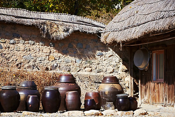 포토 JPG 주간 나무 식물 한국문화 한국전통 전통 건축물 계절 아시아 전통문화 문화 고건축 한국건축 자연 한국 초가집 풍경 사람없음 야외 관광지 담장 가을풍경 동양건축 문화재 가을 경주 항아리 댐 경상북도 경상도 민속마을 양동마을 국내포토 자연요소 동양문화 공공시설 건축 나라 여행 한옥 경주_경상북도 도자기 생태계 파일형식 동양 가을_계절