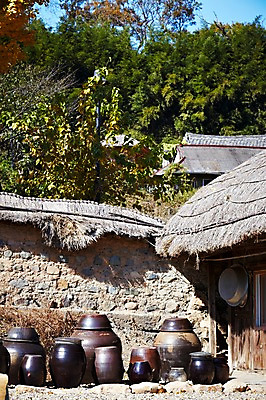 포토 JPG 주간 나무 식물 한국문화 한국전통 전통 건축물 계절 아시아 전통문화 문화 단풍 고건축 한국건축 자연 단풍나무 한국 초가집 풍경 사람없음 야외 관광지 담장 가을풍경 동양건축 문화재 가을 경주 항아리 댐 경상북도 경상도 민속마을 양동마을 국내포토 자연요소 동양문화 공공시설 건축 나라 여행 잎 한옥 경주_경상북도 도자기 생태계 파일형식 동양 가을_계절