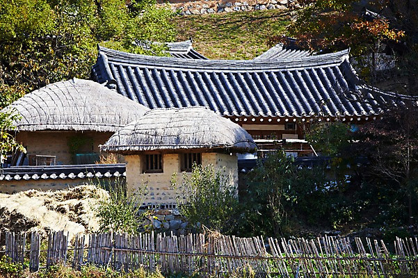 포토 JPG 주간 나무 식물 한국문화 한국전통 전통 건축물 계절 아시아 전통문화 문화 단풍 고건축 한국건축 자연 단풍나무 한국 초가집 기와집 풍경 사람없음 야외 관광지 마을 가을풍경 동양건축 문화재 가을 경주 경상북도 경상도 민속마을 양동마을 국내포토 자연요소 동양문화 건축 나라 여행 잎 한옥 경주_경상북도 생태계 파일형식 동양 가을_계절