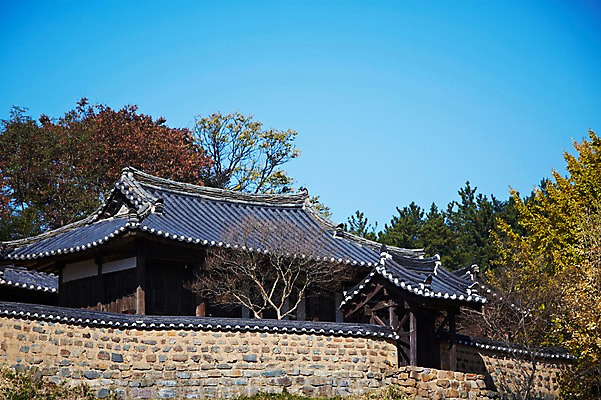 포토 JPG 주간 나무 식물 한국문화 한국전통 전통 건축물 계절 아시아 전통문화 문화 단풍 고건축 한국건축 자연 단풍나무 한국 기와집 풍경 사람없음 야외 관광지 담장 가을풍경 동양건축 문화재 가을 경주 경상북도 경상도 민속마을 양동마을 국내포토 자연요소 동양문화 건축 나라 여행 잎 한옥 경주_경상북도 생태계 파일형식 동양 가을_계절